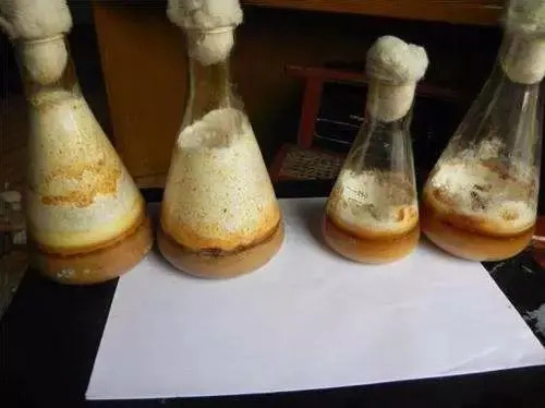 發(fā)酵消泡劑應(yīng)用場(chǎng)景圖