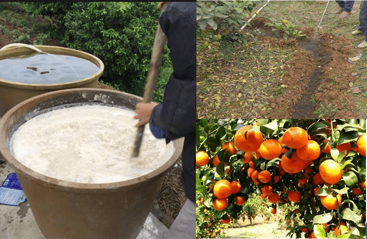 化肥消泡劑應(yīng)用場景圖